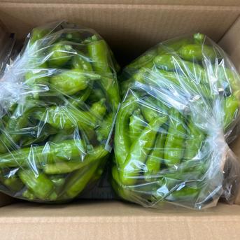 ☆有機JAS認証☆朝採れ新鮮！ししとう1.2㎏ ししとう1.2㎏ 野菜/その他野菜通販