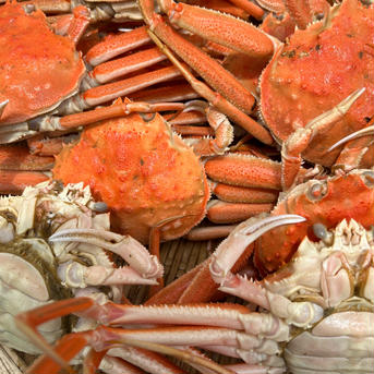 北海道産　訳あり浜茹でズワイガニ小サイズ1.5㎏大賞記念‼️ 1.5㎏ 魚介類/カニ通販