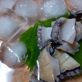 《父の日ギフト》養殖あわび&天然サザエセットアワビ50g 8枚　　サザエ1.8kg（12〜16個） アワビ50g 8枚　　サザエ1.8kg（12〜16個） 魚介類/魚介セット・詰め合わせ通販