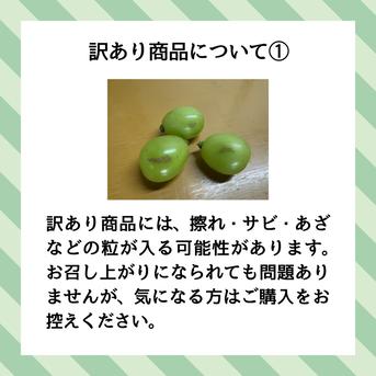 訳あり 限定販売】2kg 粒シャインマスカット／本気農場いけだ ｜ 果物
