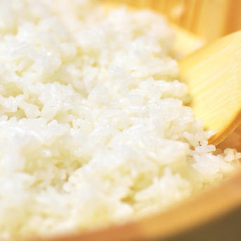 キヌヒカリ玄米20kg🌾橙心🌾令和7年度産🌾淡路島からの新米キヌヒカリ