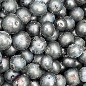 冷凍ブルーベリー2kg | 果物/ベリー類 産直アウル 農家から直接野菜