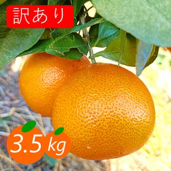 新品種》【訳あり】プリンセス 3.5kg 最強コラボの新品種(まどんな×甘