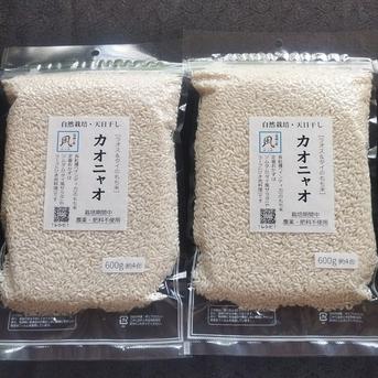 無肥料・自然栽培の長粒もち米 カオニャオ（精白米/R7年産）1.2kg 