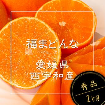 贈答用】完熟ハウス 福まどんな《秀品 2kg》｜愛媛・西宇和産 ｜ 果物