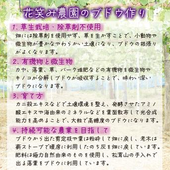 P-JN　花笑み農園　ピオーネと加工品セット（ピオーネジャム＆飲む酢） ピオーネ1房＋3本セット（ジャム、飲む酢　各1本） 加工品/加工品セット・詰め合わせ通販