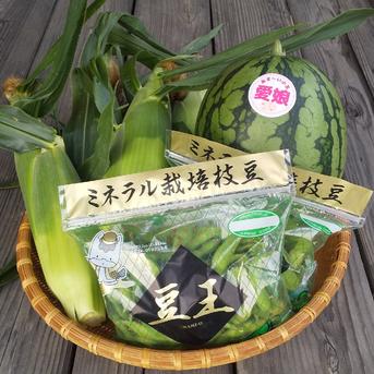 夏の最強セット スイカ&とうもろこし&枝豆 スイカ1個(1.5kg前後) とうもろこし4本 枝豆260g×2袋 野菜/野菜セット・詰め合わせ通販
