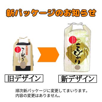 玄米】 コシヒカリ 20kg 特別栽培米 京都府産 こしひかり ｜ 米・穀物