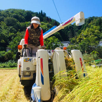 令和6年 京都【丹波産】ゆうだい２１ 精米 -特別栽培米- “ゆうだい” 2kg 米・穀物/米/精米通販