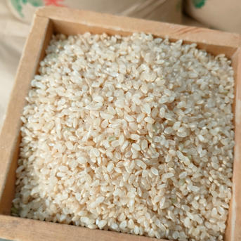 コシヒカリ　玄米　20キロ　無農薬　天日干し　美味しいお米 自然農法 コシヒカリ 5分つき20キロ 無肥料無農薬 山水で育てた自家