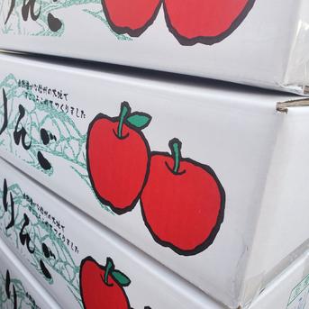 自家用　信州上田産　サンふじ約5kg　11玉〜18玉 約5kg　11玉〜18玉 果物/りんご通販