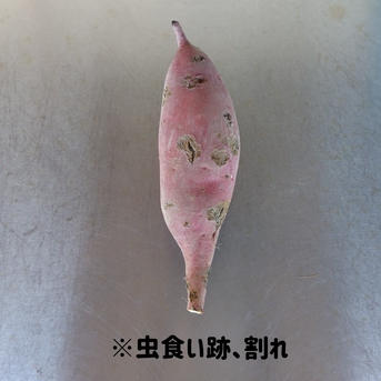訳ありB品】熟成不要のさつま芋「あまはづき10kg」（虫害・割れ・キズ