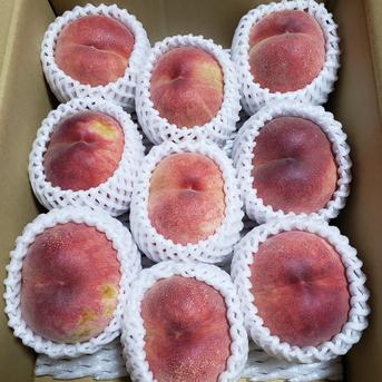 訳あり　宝石のような桃【赤宝】3kg 3kg 果物/もも通販