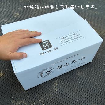 サトイモ『土垂』(4KG) ミックスサイズ ｜ 野菜/里いも 産直アウル