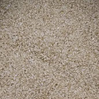 農家直送 自然乾燥米秋田県産あきたこまち白米３kg 白米３kg 米・穀物/米/精米通販