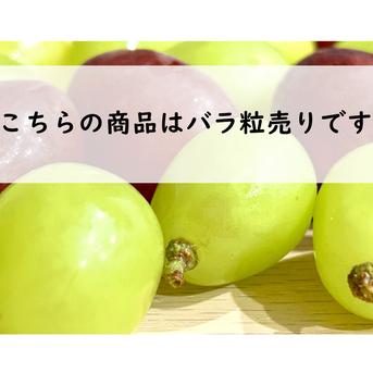 希少！糖度抜群種なしクイーンマスカット 粒2パック800g 『クール便