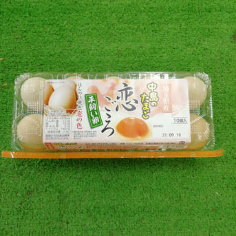 アスタキサンチンを飼料に添加　「平飼い卵」恋ごころ　10個入り✖️2パック 1.3Kg 卵/鶏卵通販