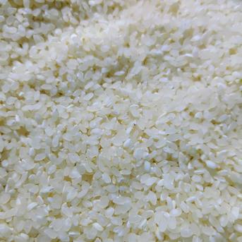 コシヒカリ白米9キロ コシヒカリ直系『ヒカリ新世紀』9.5kg｜環境に配慮した「みどり認定