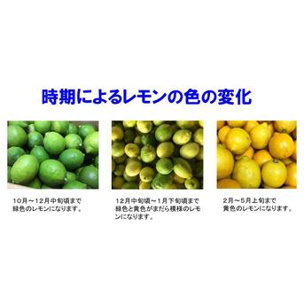 広島県産 瀬戸田レモン 10kg C品（訳あり） 有機JAS法準拠栽培