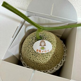 【アウルの日】有馬温泉の麓発 有馬メロン🍈 5L特大1玉（1.5~1.7kg）土づくりと甘さにこだわった低農薬栽培の最高傑作🌟 有馬温泉の麓よりお届け🛻 兵庫県有馬特産 赤肉メロン お中元・贈答ギフトにも🎁 《7/20〜順次発送》 1.5~1.7kg（5L/1玉） 果物/メロン通販