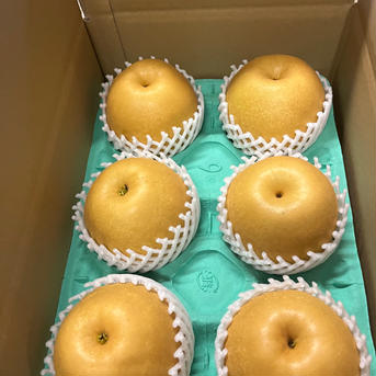 新高　梨　くまモン箱にてお届け5k箱 7〜9玉 5k箱 7〜9玉 果物/梨通販