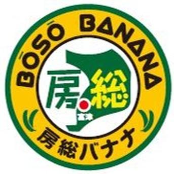 調理用　青バナナ　揚げても、蒸しても、炒めても美味しい！ 1キロ 調理用青バナナ　1キロ 果物/バナナ通販