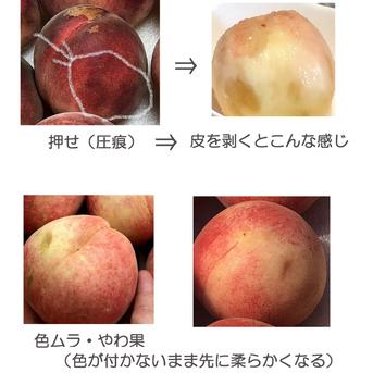 ＜訳あり＞2キロ箱【南アルプスの桃】減農薬/無肥料/除草剤不使用  <訳あり>２キロ箱　個数はサイズによる 果物/もも通販
