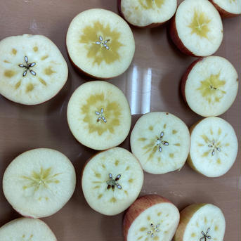 超遅もぎ！超大玉樹上完熟サンふじ3キロ6-9玉　蜜入り期待大！かなり遅く収穫しました！ 超大玉3キロ6-9玉入 果物/りんご通販