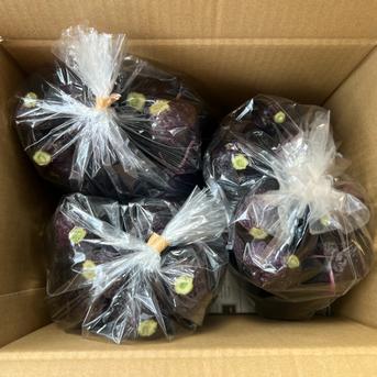 ☆有機JAS認証☆茄子500g×3袋 ☆有機JAS認証☆茄子500g×3袋 野菜/茄子通販