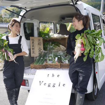 京都◉減農薬野菜◉8種の朝採れ野菜詰め合わせ 5kg 野菜/野菜セット・詰め合わせ通販