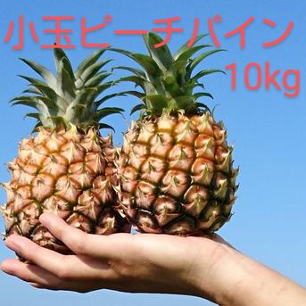 送料無料】 西表島産 小玉 ピーチパイン 約3.5kg（6～9玉） ｜ 果物