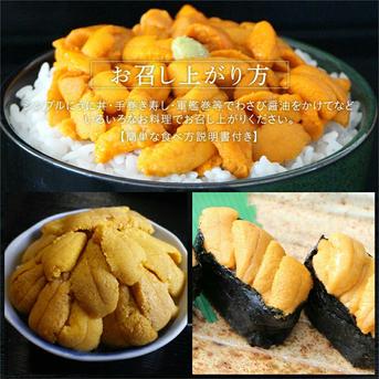 塩水生うに(キタムラサキウニ)100g×5個入 礼文島産 【送料無料】 100g×５個 魚介類/ウニ通販