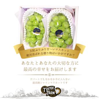 【贈答用】岡山県産シャインマスカット2房［1.4キロ以上］贈答用大きめの房【ギフト】 2房　1.4kg 果物/ぶどう通販
