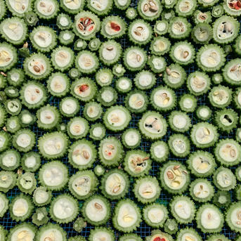 【67％増量】栄養満点♡ 種ごと！干しゴーヤー 50g 50ｇ 野菜/野菜の加工品通販