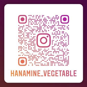 【有機JAS認定】🌱オーガニック野菜 詰め合わせ🌱 セロリ 約1.5kg /カブ 約1.5/サニーレタス2株 野菜/野菜セット・詰め合わせ通販