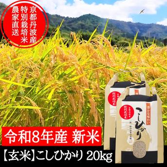 新米【玄米】特別栽培米こしひかり 20kg 令和8年産 節減対象農薬6割減