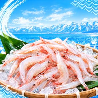 【えび】 生白えび殻付き250g ｜ 魚介類/エビ 産直アウル 農家・漁師など生産者