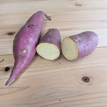 北海道産 さつまいも食べ比べセット8kg ｜ 野菜/さつまいも 産直