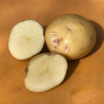 選べる7品種の農薬・化学肥料不使用のジャガイモ食べ比べ2ｋｇセット♪ 2kg 野菜/じゃがいも通販