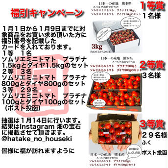 【初売】送料込み③希少な高濃度フルーツトマト　ソムリエミニトマト　プラチナ1kg（60玉から90玉） 1kg 野菜/トマト通販