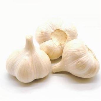 【小さめ】旬の野菜3点セット 10kg 10kg 野菜/野菜セット・詰め合わせ通販