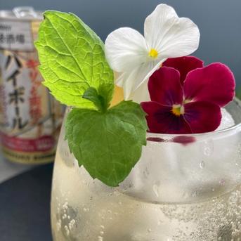 常温配送》エディブルフラワー（食用花） ビオラ10輪 ｜ その他/食用花