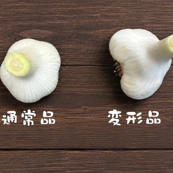 新物 福地ホワイト にんにく S 規格外+Sサイズ】『福地ホワイト六片』 ニンニク (1kg) ｜ 野菜