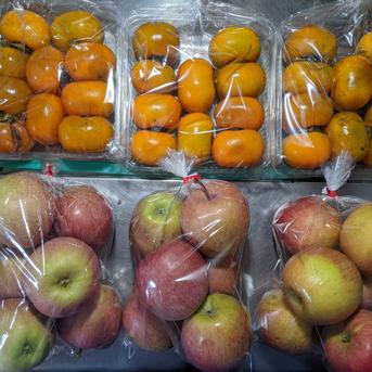 加工原料の柿とリンゴ 約7.4kg 果物/果物セット・詰め合わせ通販