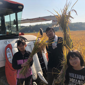 新米令和6年特別栽培福岡県産夢つくし 5kg 米・穀物/米/精米通販