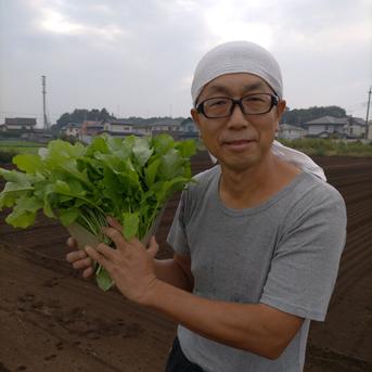 訳あり！ 無農薬栽培の葉大根 1.6㌔程度 野菜/葉物通販