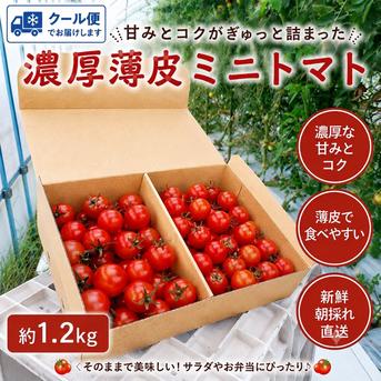 濃厚薄皮】冷蔵発送 贅沢ミニトマト 1.2kg セット お試しセット 青森県