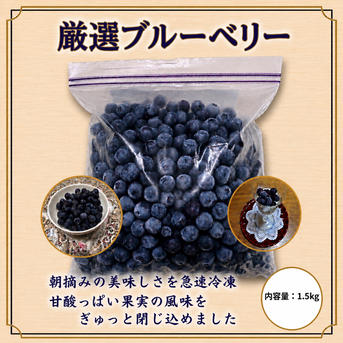 冷凍ブルーベリー たっぷり3kg ｜ 果物/ベリー類 産直アウル 農家