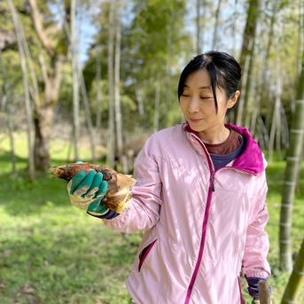 2026年産】旬の天然タケノコ2kg（富山県氷見産）栽培期間中、農薬