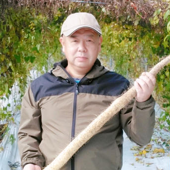 お買い得❗️味、粘り自慢❗️廣橋農園の自然薯 750g 野菜/長いも・山いも通販